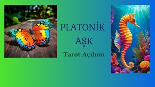 Platonik Aşk Tarot Açılımı 💌 Deste Seç 🦋🦭 [upl. by Anastatius234]