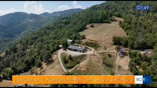 AGRICOLTURA EROICA LUNIGIANA LAGRIGELATERIA CHE SALVA IL BORGO [upl. by Alvie]