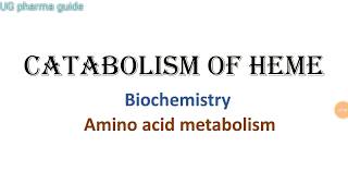 Catabolism of Heme  amino acid metabolism  Biochemistry  Notes [upl. by Emmanuel]