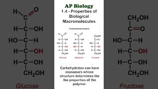 AP Bio  14 Part 3  Carbohydrates apbiology biochemistry [upl. by Eirrej956]