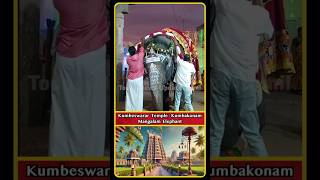 Adi Kumbeswarar Temple Elephant Mangalam  Kumbakonam  Sankarankovil Gomathi Elephant  shorts [upl. by Wilkens]