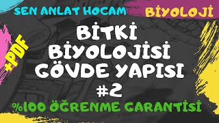 BİTKİ BİYOLOJİSİ KONU ANLATIMI 5  GÖVDE YAPISI 2  AYT BİYOLOJİ  ✅ [upl. by Dareece]