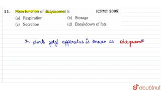 Main function of dictyosomes is [upl. by Durwyn185]