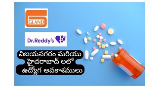 Gland Pharma Jobs  Dr Reddyquots Pharma Jobs  Walkin Notification in Telugu 11 10 24 [upl. by Anoli12]