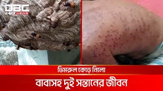 ময়মনসিংহে ভিমরুলের কামড়ে বাবামেয়ের পর ছেলেরও মৃত্যু  DBC NEWS [upl. by Edlihtam134]