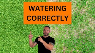 Mastering Bermudagrass Essential Watering Tips Revealed [upl. by Lefkowitz]