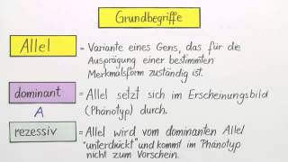 Erbgänge dominantrezessiv intermediär und kodominant  Biologie  Genetik [upl. by Quartet]