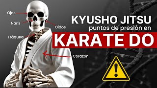 Kyusho Jitsu Más Allá de los Golpes en Karate Do [upl. by Bernj3]