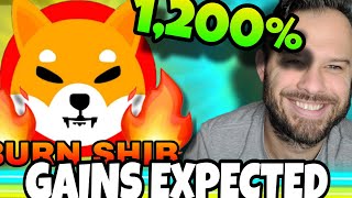 Shiba Inu Coin  SHIB Is Expected To Rise 1200 SOON [upl. by Nievelt]