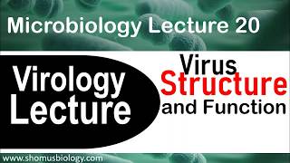 Virology lecture 1  Virus structure and classification [upl. by Hartzke]