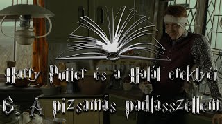 Harry Potter és a Halál ereklyéi hangoskönyv  6 fejezet [upl. by Euv915]