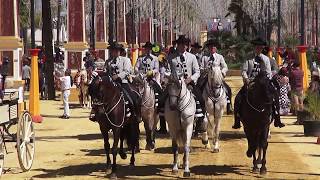 Feria del caballo 2017 Jerez de la Frontera [upl. by Donnenfeld]