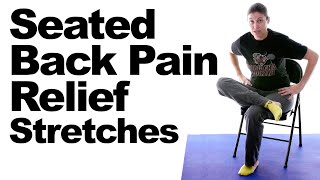 Seated Back Pain Relief Stretches [upl. by Oemac]