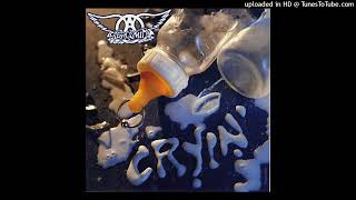 Aerosmith  Cryin Extended 1993 [upl. by Patt39]