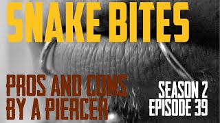 2021 Snake Bites Piercings Pros amp Cons amp Everything Else by a Piercer S02 EP39 [upl. by Ihcas]