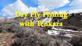 Dry Fly Fishing with Tenkara [upl. by Neelrahs]