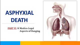 Part6  Medicolegal aspects of Hanging  Asphyxial Death  SavvyForensics [upl. by Cirdec314]