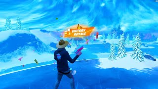 NEW Fortnite MR BEAST Gameplay🎯  High Elimination SOLO🏆 [upl. by Avery400]