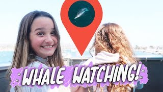 Whale Watching WK 401  Bratayley [upl. by Lomax]