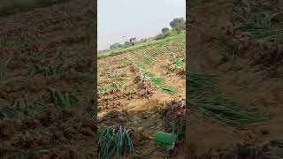 agriculuture automobile agriculuture villagelife funny music [upl. by Katrina]