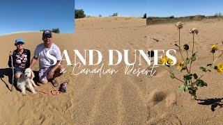 One of Canada’s deserted land “ Douglas Sand Dunes in Saskatchewan 🇨🇦 sanddunes walkingtrails [upl. by Ettenahs346]