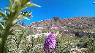 Montagna di Ramacca [upl. by Tommi632]