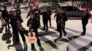 La Charreada  YOSA Mariachi [upl. by Ennaeerb]