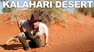 Survivorman Kalahari Desert  Namibia  Les Stroud  GLITCHES FIXED [upl. by Yee]