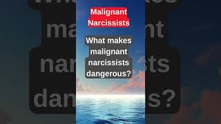 Inside the Mind of a Narcissist 🤯  Psychology Explained facts psychology musicalhealing [upl. by Sedgewick955]