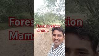 Location Chudu ra mama shorts location forest [upl. by Dinsmore262]