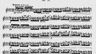 Joachim Andersen Etude for Flute op15 Number 17 [upl. by Hazeghi]