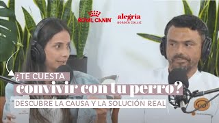 ¿Te cuesta convivir con tu perro Descubre la causa y la solución real [upl. by Ramal]