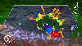 Botulinum Neurotoxin Mechanism of Action [upl. by Valentin]