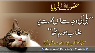 Muhammad Raza SaQib Mustafai  HUZOOR Ne Farmaya Billi Ki Waja Se Is Orat Pr Azaab Ho Raha Tha [upl. by Glover364]