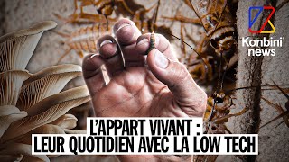 Appart quotvivantquot  leur quotidien dans 28m2 avec la low tech  Reportage [upl. by Rebmeced]