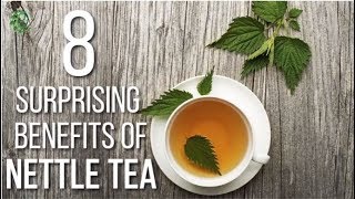 8 Surprising Benefits Of Nettle Tea  Organic Facts [upl. by Dulla]