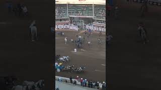 Calgary Stampede racing chuckwagon crash [upl. by Treble]