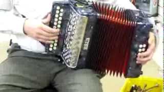 Wren Grey Accordion BC [upl. by Anos]