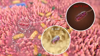 Mutational Signature in Colorectal Cancer caused by Genotoxic pks E coli [upl. by Nimaj]