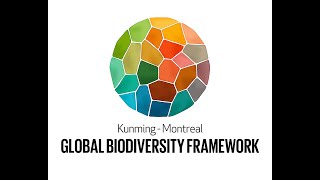 The KunmingMontreal Global Biodiversity Framework [upl. by Marcille]