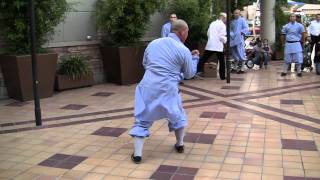 Shi Yan Xu performs Da Hong Quan at Shaolin Movie Premiere 09092011 Hollywood [upl. by Othe]