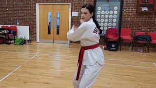 Messingham Martial Arts Rock Anthem Part 2 [upl. by Yolanthe584]