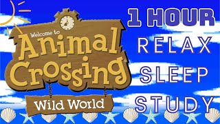 1 Hour Relaxing AC Wild World Gameplay for Stress ReliefStudying Summer Morning NO COMMENTARY [upl. by Ferdinand334]