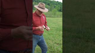 Joel Salatin on how mushrooms indicate healthy biology in your pastures regenerativefarming farm [upl. by Ciro]