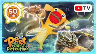 Underwater Wonders Aquatic Life Explored  Peet The Forest Detective [upl. by Thursby]