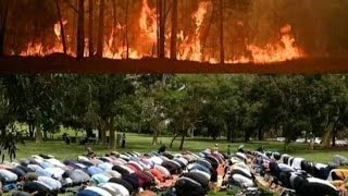 · MuslimChristian couples pray in Australia to avoid the fires After pray raining [upl. by Eitsrik824]