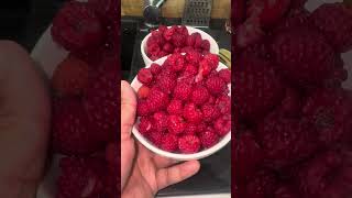 Captain  Fresh Raspberries from my garden [upl. by Nylacaj]