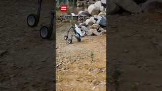 Chinas DEEP Robotics Unveils AllTerrain HighSpeed Robot [upl. by Nrehtac182]