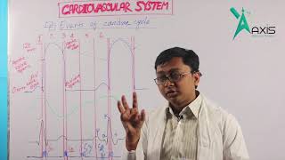 ECG Tracing  Cardiovascular System বাংলা [upl. by Civ]