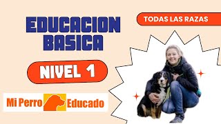 Adiestramiento Canino Nivel Básico en Mi Perro Educado [upl. by Waynant]